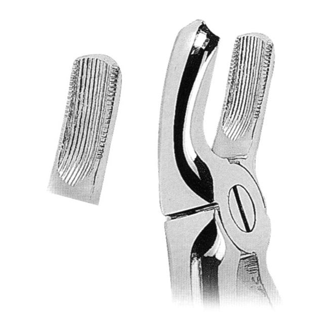 Extracting Forceps Extracting Forceps