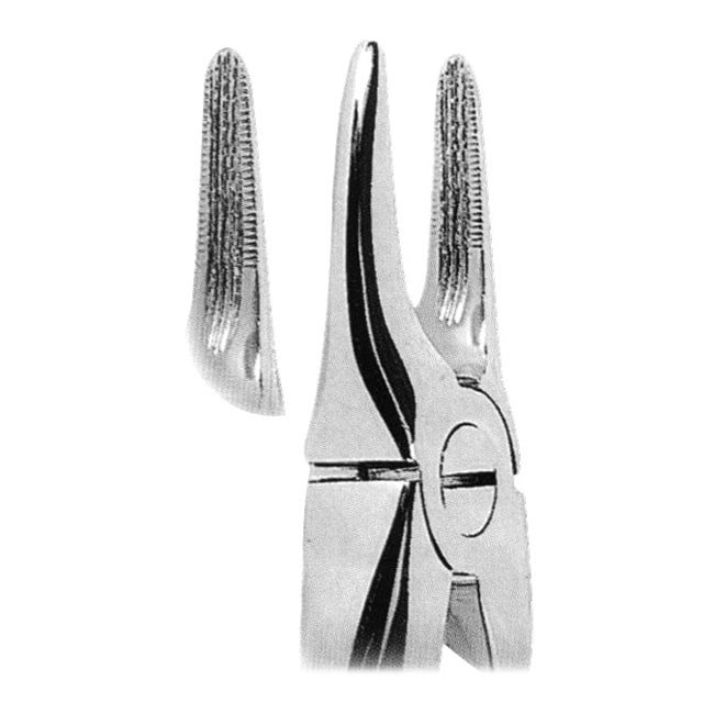 Extracting Forceps Extracting Forceps