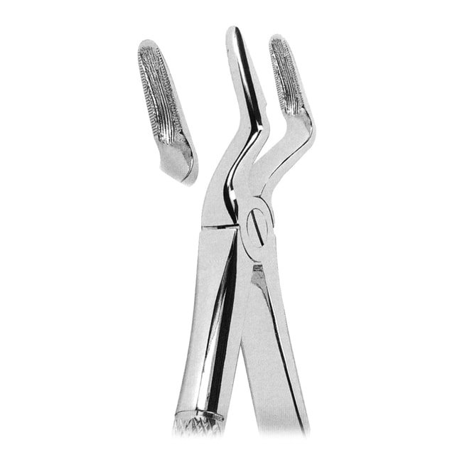Extracting Forceps Extracting Forceps