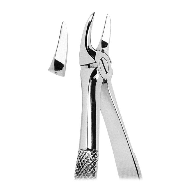 Extracting Forceps Extracting Forceps