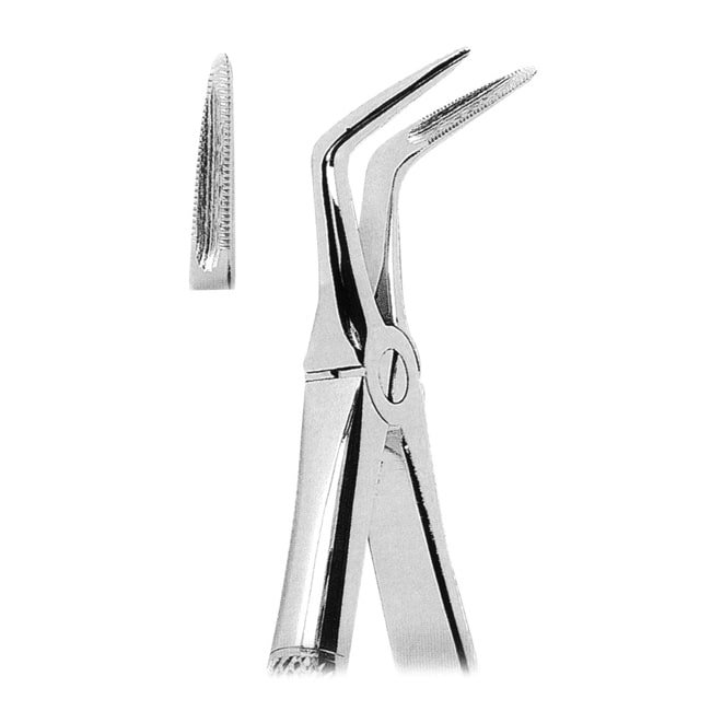 Extracting Forceps Extracting Forceps