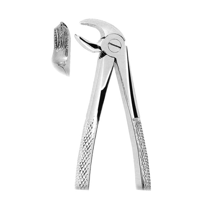 Extracting Forceps American Pattern Extracting Forceps American Pattern