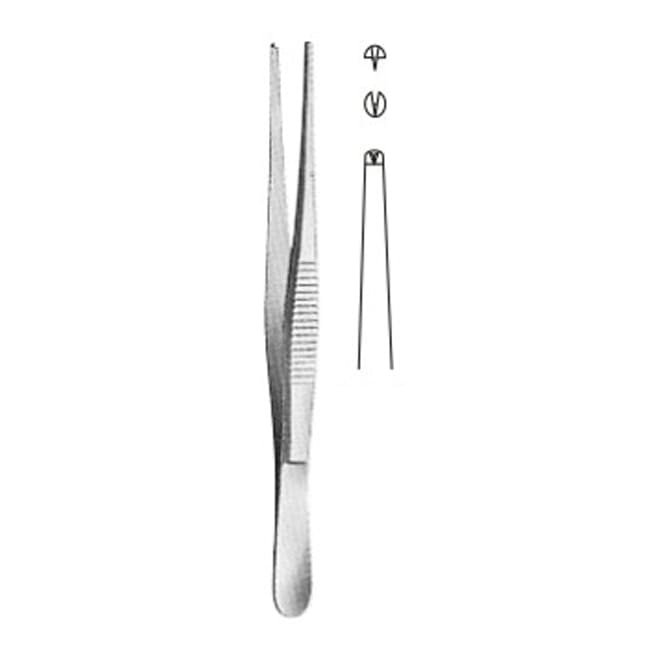 Toothed Dissecting Forceps Toothed Dissecting Forceps
